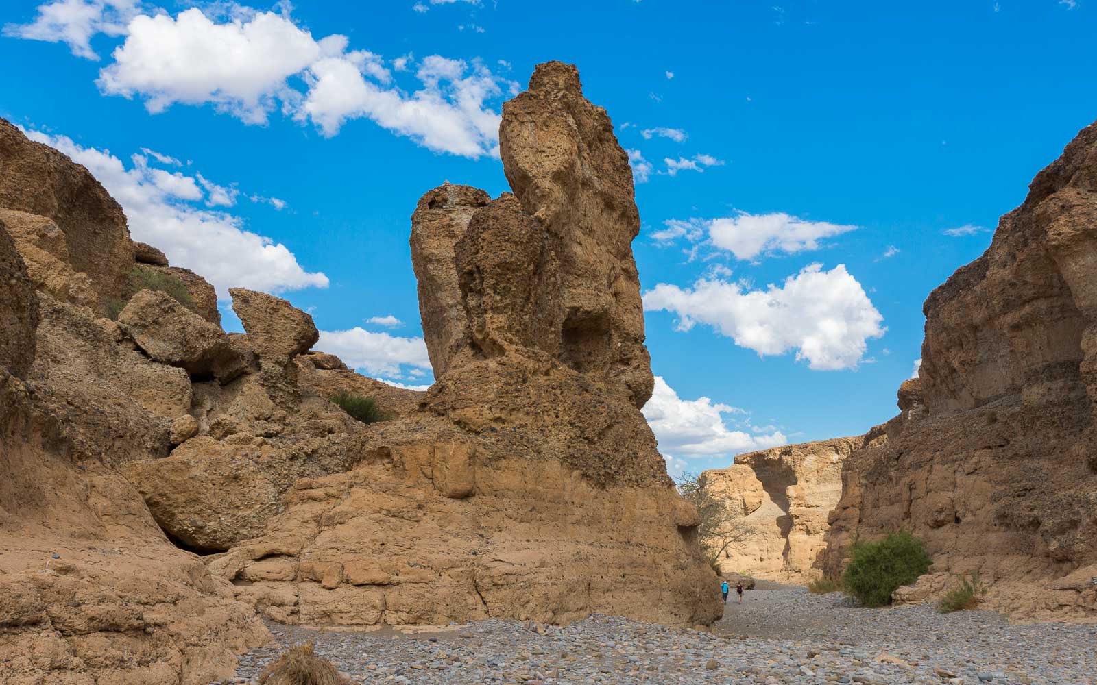 buschmann selfdrive 140