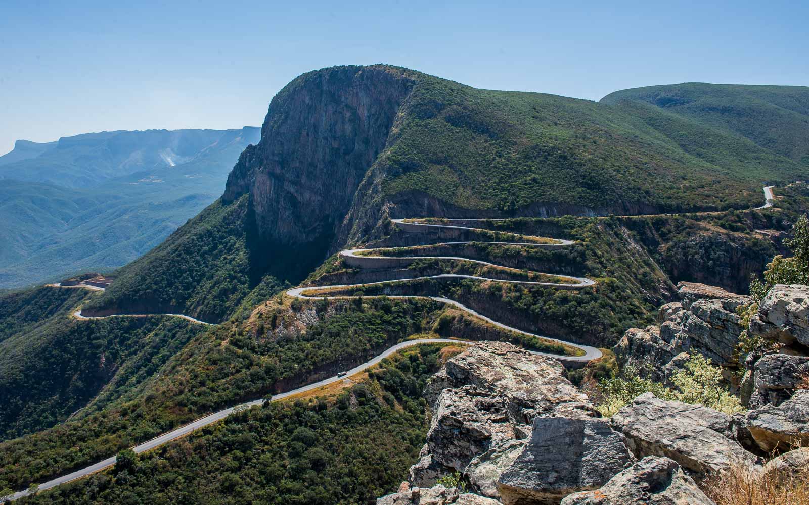 buschmann selfdrive 499