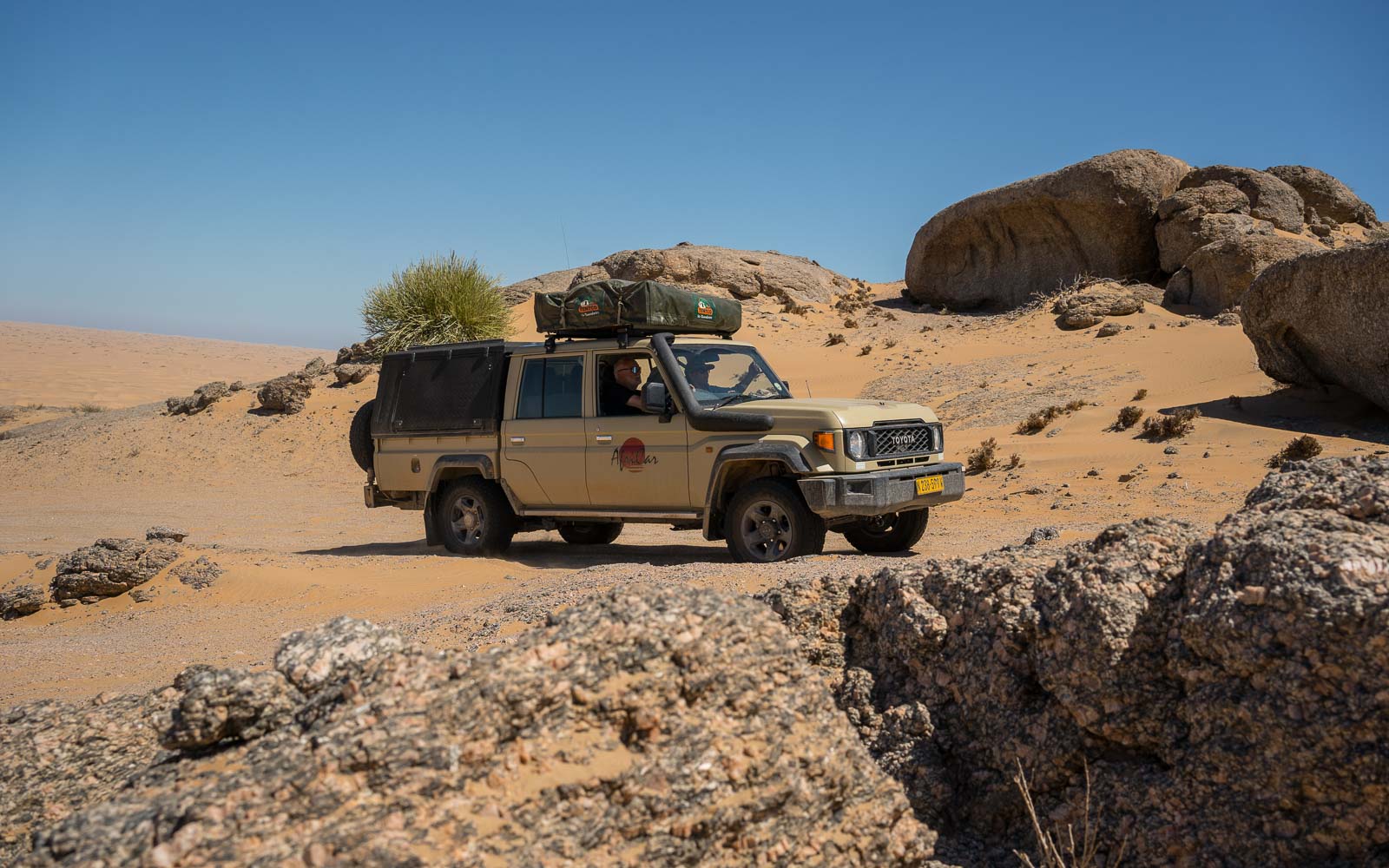 buschmann selfdrive 600