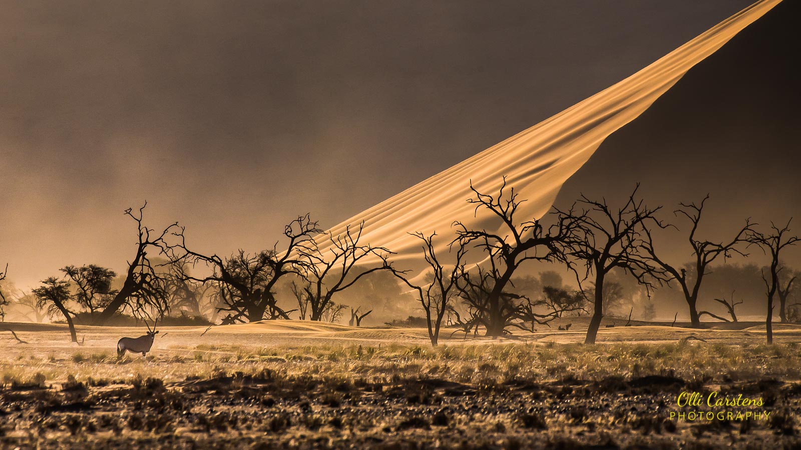 landschaft kategorie 10