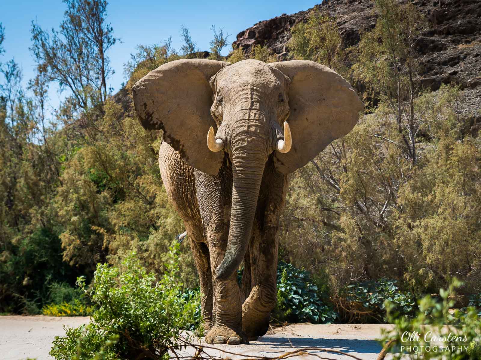 namibia extrem fotosafari 12